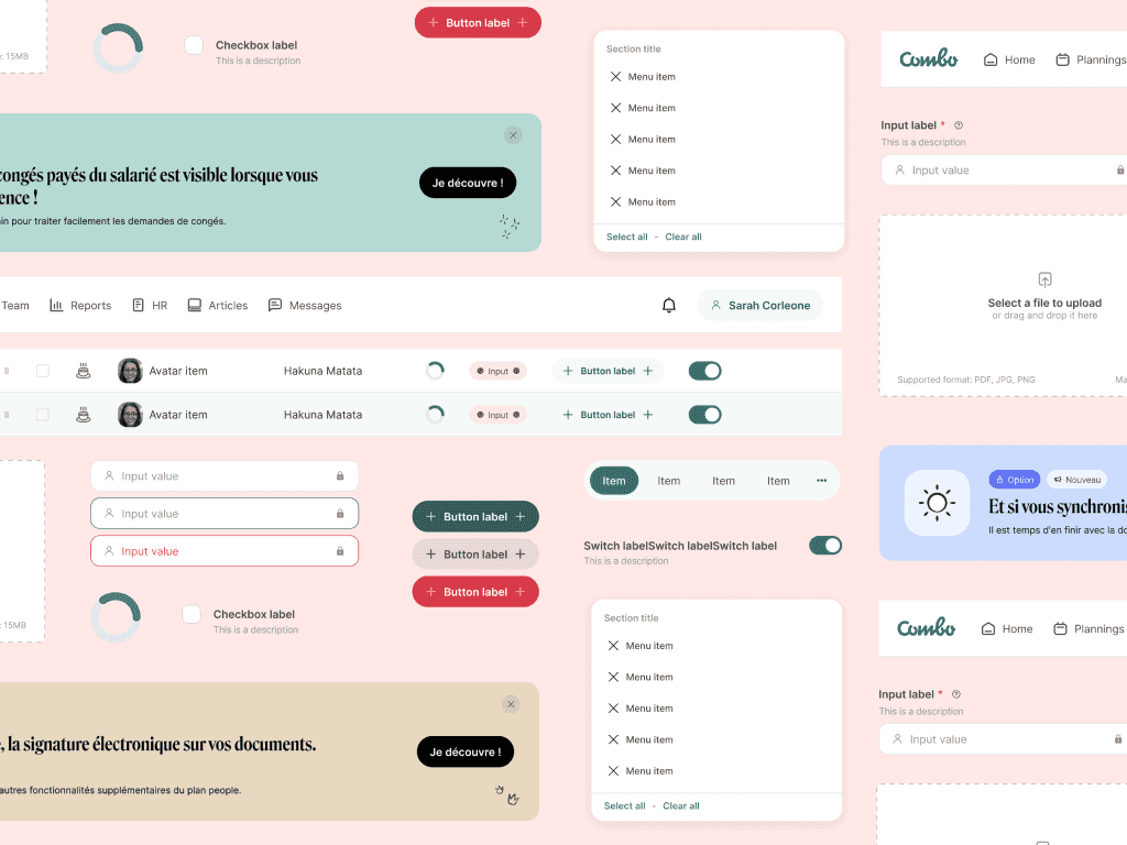 Developed the Design System
